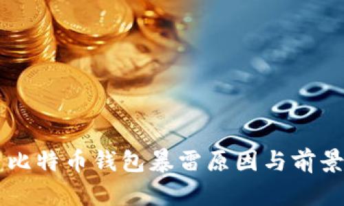国内比特币钱包暴雷原因与前景分析