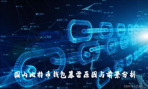 国内比特币钱包暴雷原因与前景分析